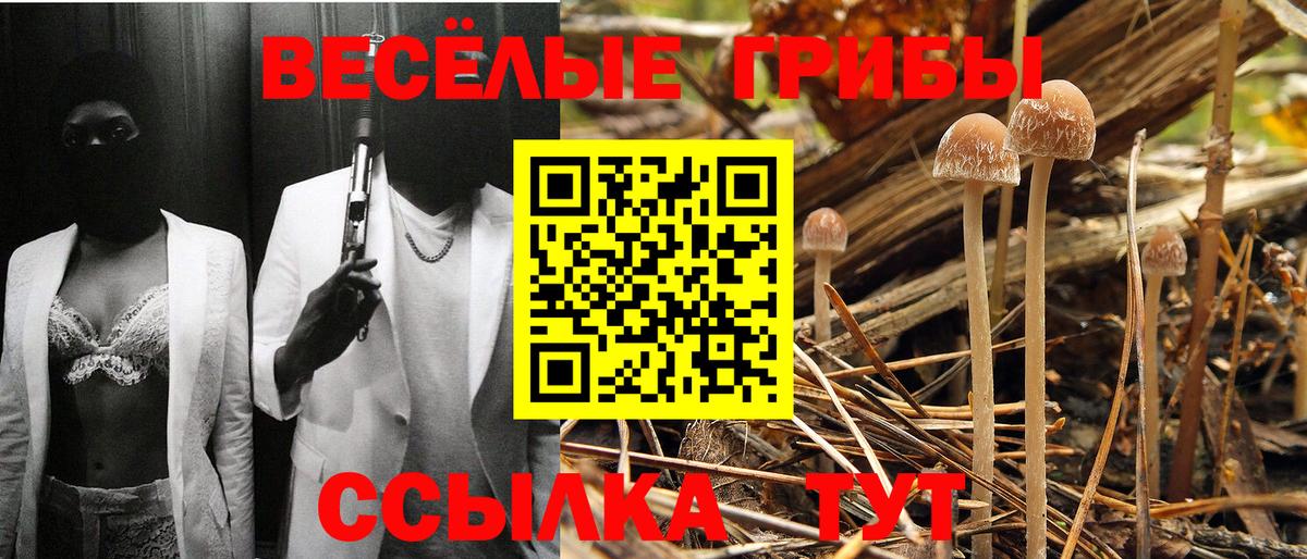 Кызыл  где продают   Вход с VPN  Псилоцибиновые грибы прущие грибы 