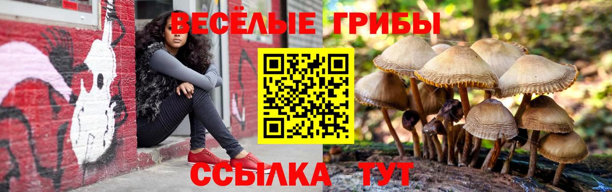 Псилоцибиновые грибы ЛСД Кызыл
